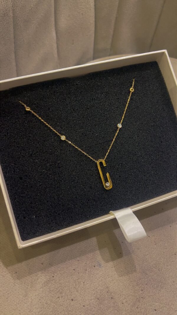 Lisa stainless necklace